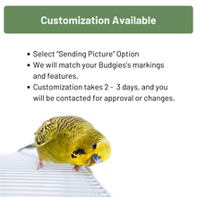 Load image into Gallery viewer, Budgie Eyeglass Stand