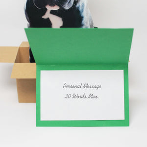 Custom Dog in a Box Pop Up Card