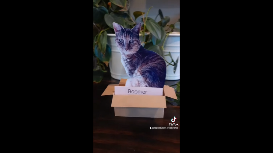 Cat in a Box Popup Card