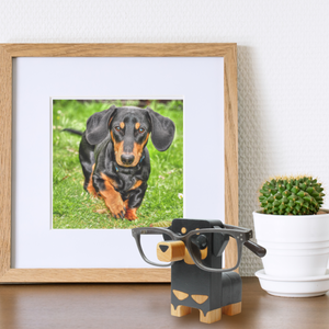 Weiner Dog Home Decor