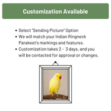 Load image into Gallery viewer, Indian Ringneck Parakeet Parrot eyeglass stand ornament gift decor