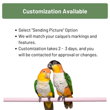 Load image into Gallery viewer, Caique Eyeglass Stand Ornament Gift Decor