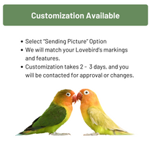 Load image into Gallery viewer, Lovebird eyeglass stand ornament gift home decor