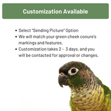 Load image into Gallery viewer, Green Cheek Conure eyeglass stand ornament gift home decor
