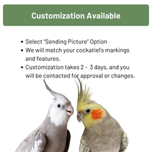 Load image into Gallery viewer, Cockatiel Eyeglass Stand / 4&quot; Tall / Glasses Holder