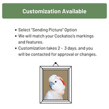 Load image into Gallery viewer, Cockatoo Eyeglass Stand | 4.5&quot; Tall
