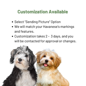 Personalized Havanese Gift