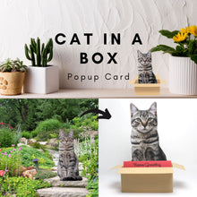 Load image into Gallery viewer, Personalized Cat in a Box Pop Up Card