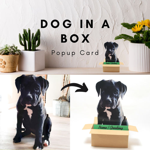 Custom Dog Popup Card