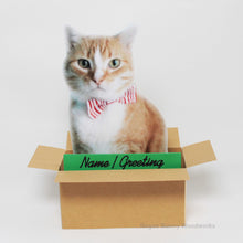 Load image into Gallery viewer, Custom Cat in a Box Pop Up Card