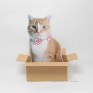 Custom Cat in a Box Pop Up Card