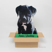 Load image into Gallery viewer, Custom Dog in a Box Pop Up Card