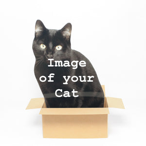 Personalized Cat in a Box Pop Up Card